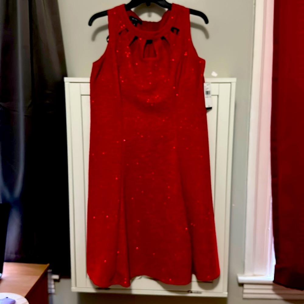 ALYXdress red sparkle size 12